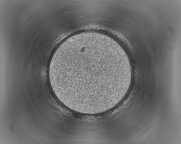 X0000111461217200908241312
