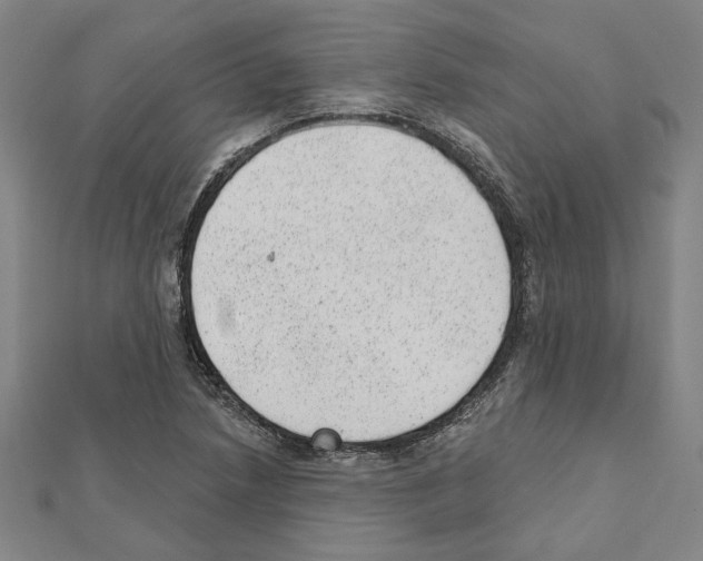 X0000111461218200908241312