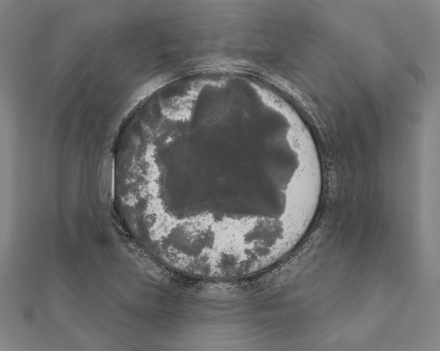 X0000111461219200908241312