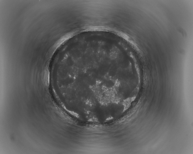 X0000111461221200908241312