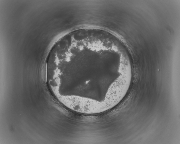 X0000111461223200908241312