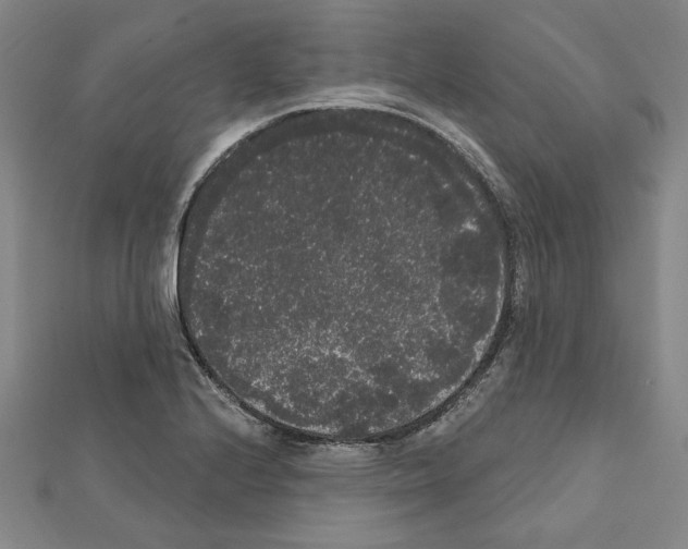 X0000111461224200908241312