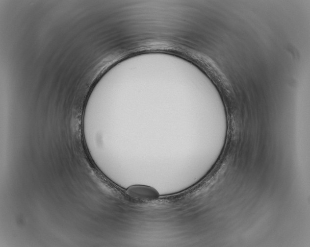 X0000111461225200908241312