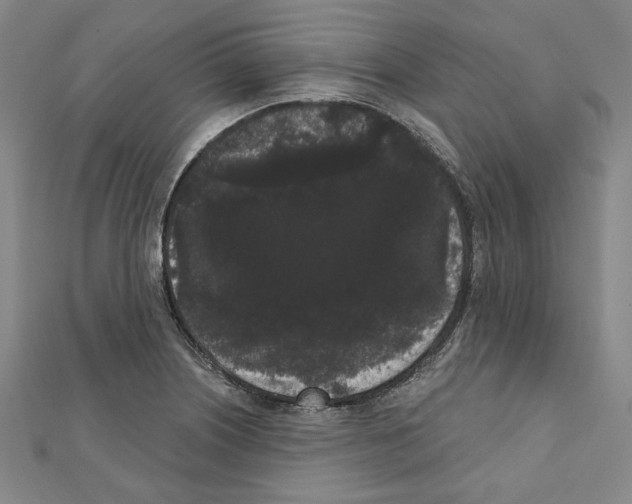 X0000111461226200908241312