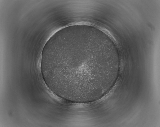 X0000111461228200908241312