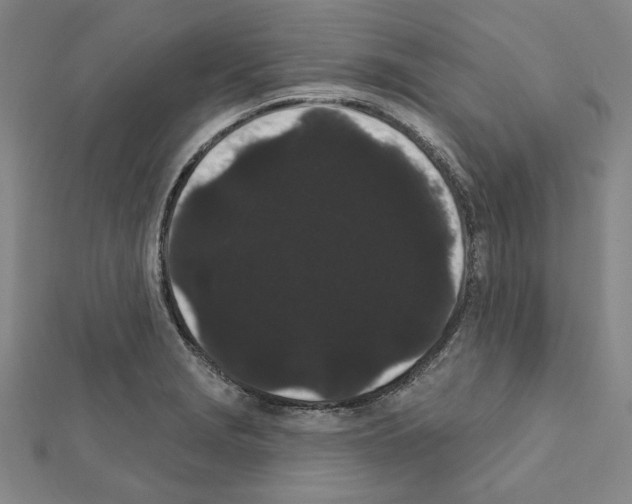 X0000111461229200908241312