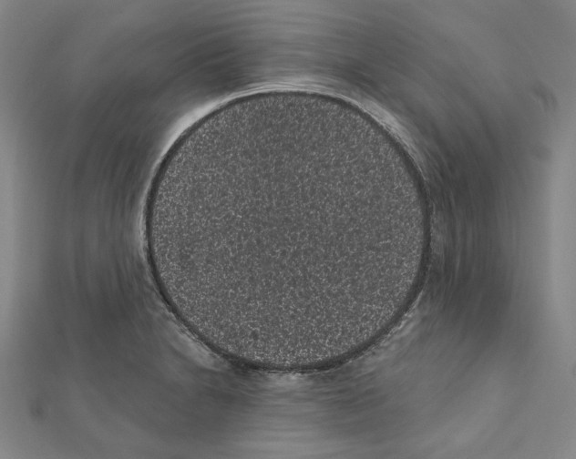 X0000111461230200908241312
