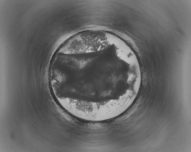 X0000111461231200908241312