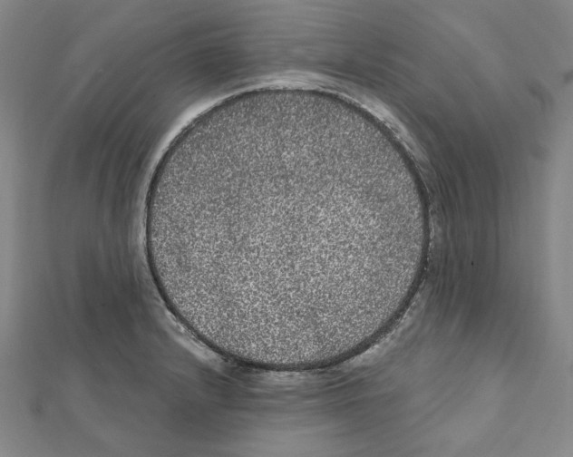 X0000111461232200908241312