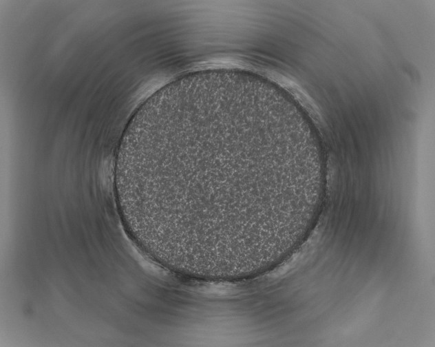 X0000111461233200908241312