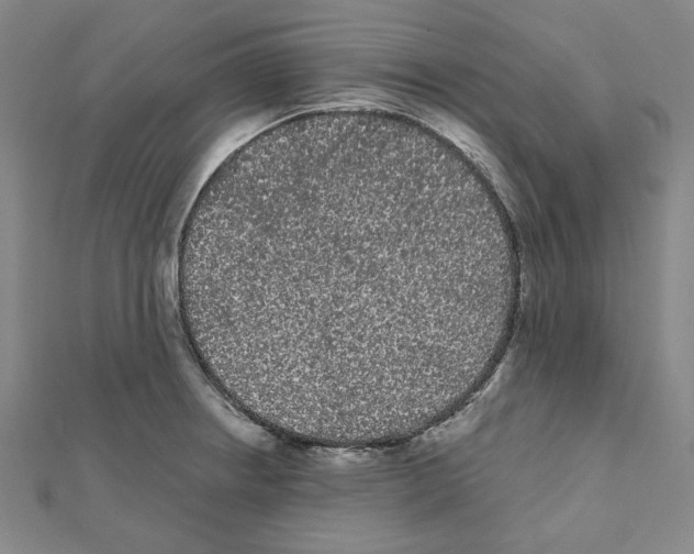 X0000111461234200908241312