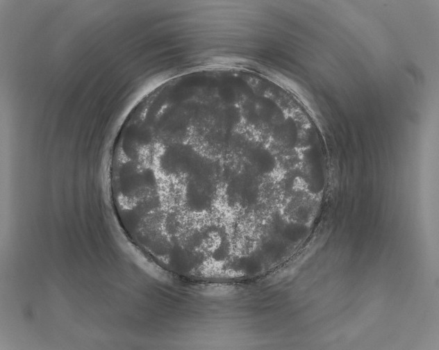 X0000111461235200908241313