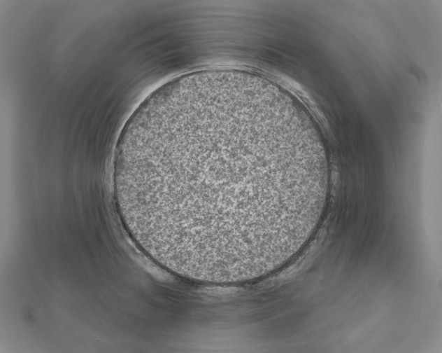 X0000111461236200908241313