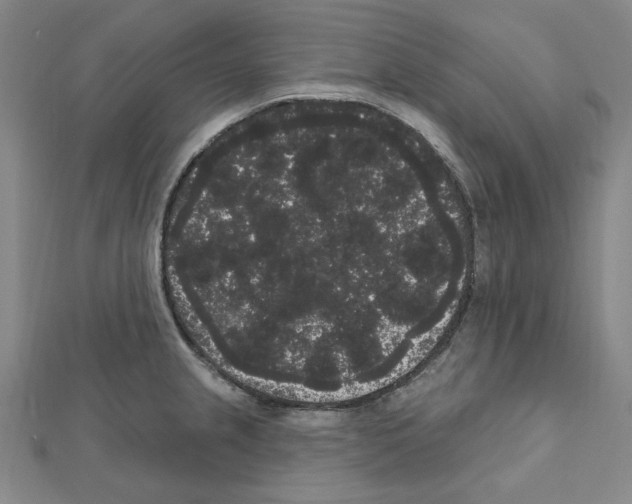 X0000111461237200908241313