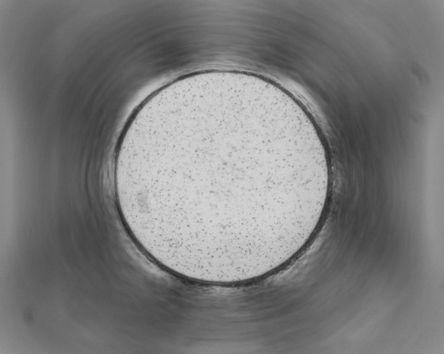X0000111461238200908241313
