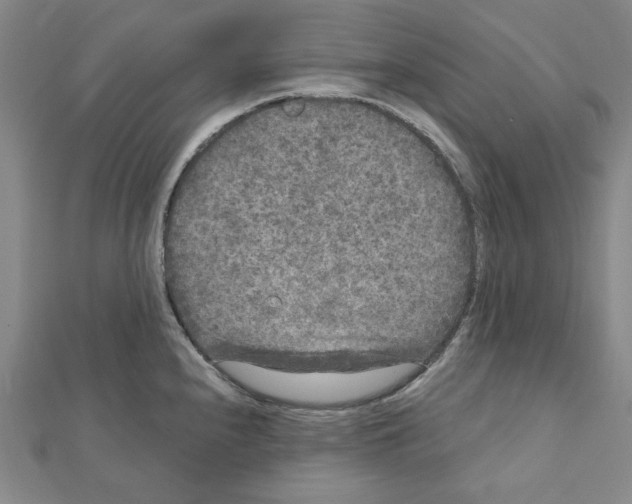 X0000111461240200908241313
