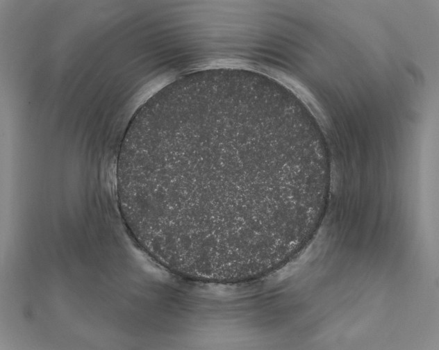 X0000111461241200908241313
