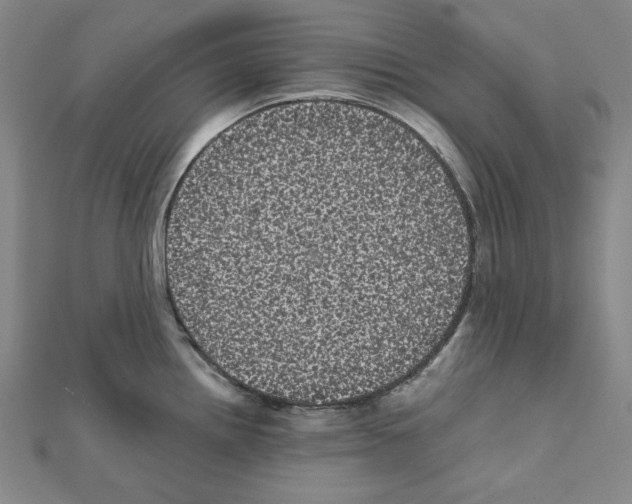X0000111461242200908241313