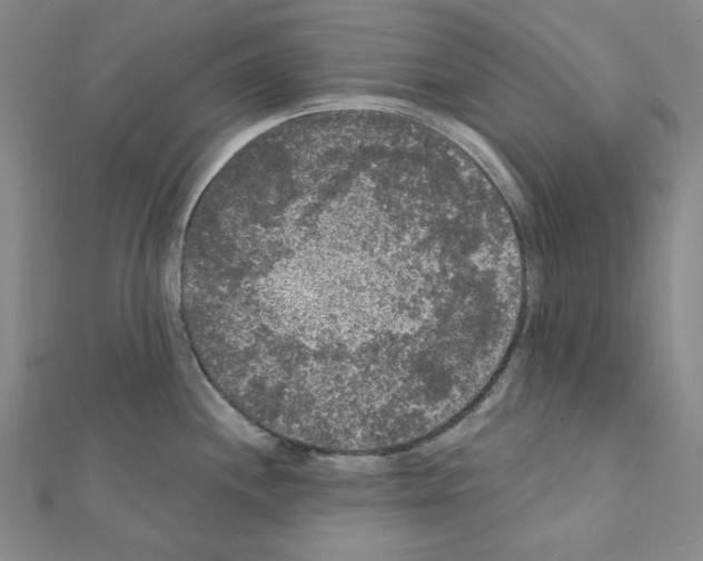 X0000111461244200908241313