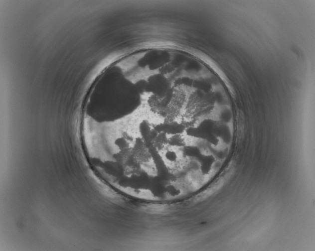 X0000111461245200908241313