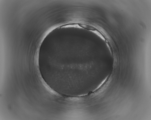 X0000111461246200908241313