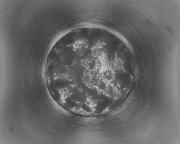 X0000111461247200908241313