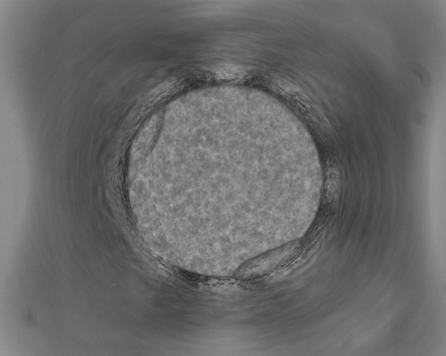 X0000111461249200908241312