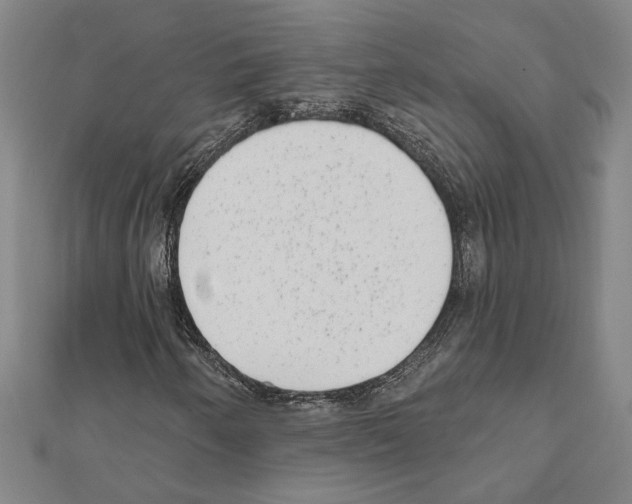 X0000111461250200908241312