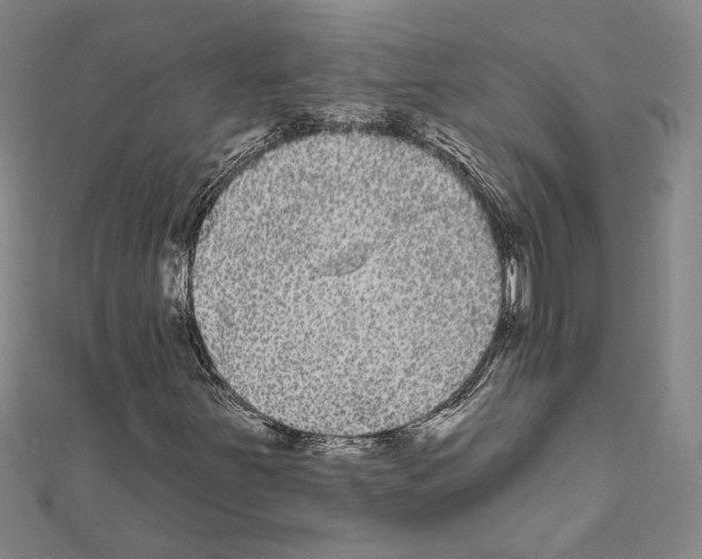 X0000111461251200908241312