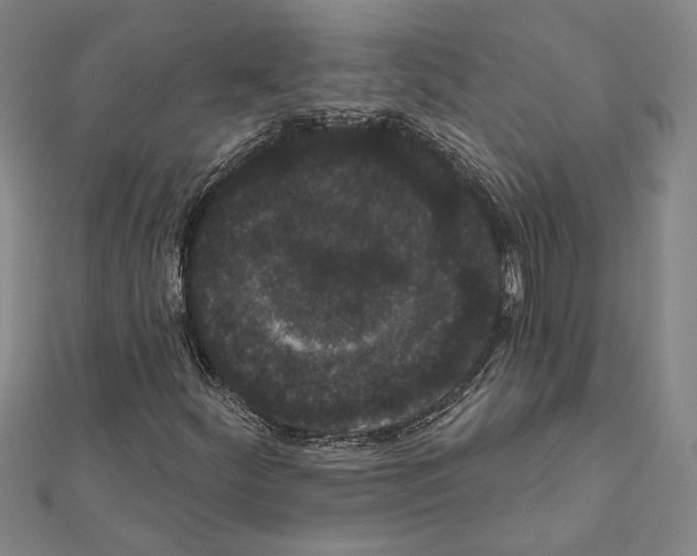 X0000111461252200908241312