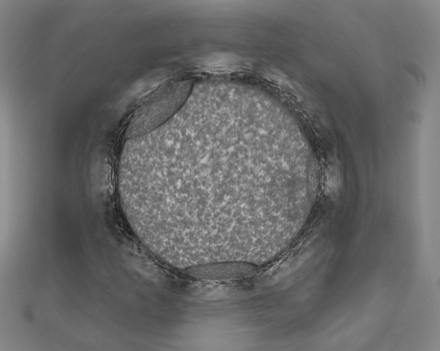 X0000111461253200908241312