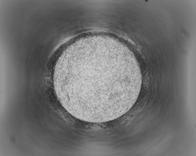 X0000111461255200908241312