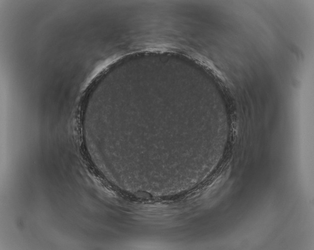 X0000111461256200908241312