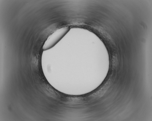 X0000111461257200908241312