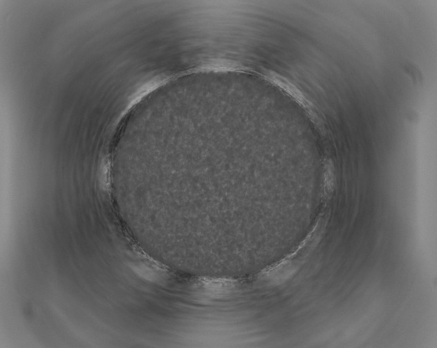 X0000111461258200908241312