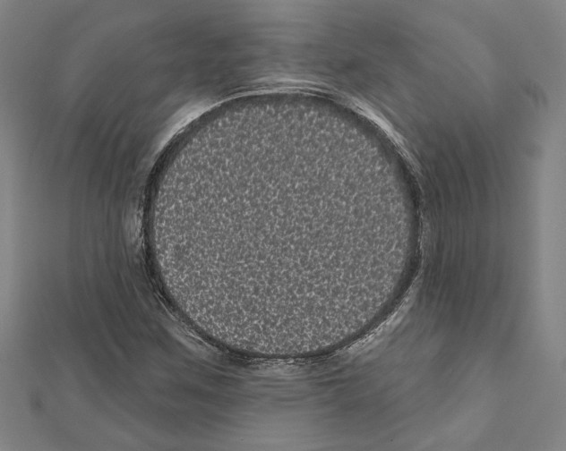 X0000111461259200908241312