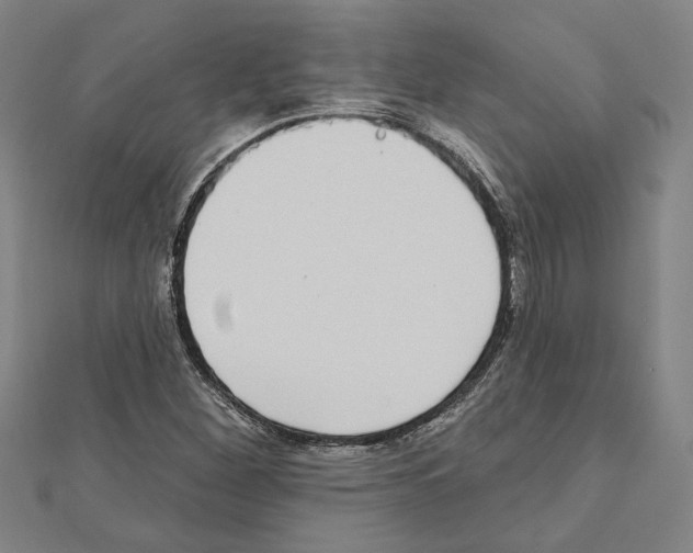 X0000111461260200908241312