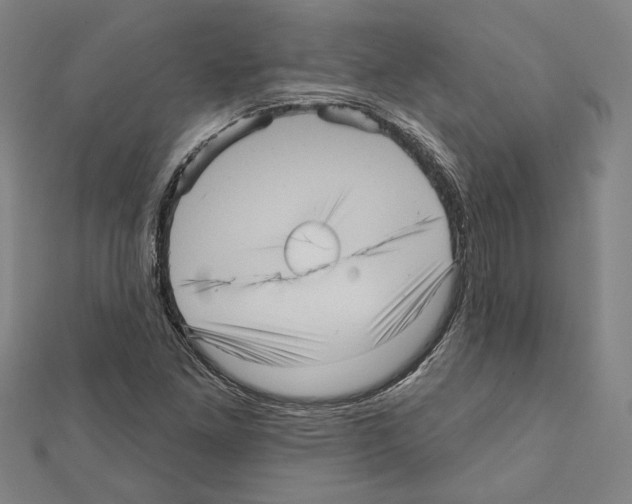 X0000111461261200908241312