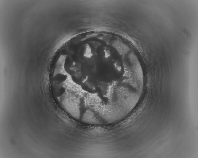 X0000111461263200908241312