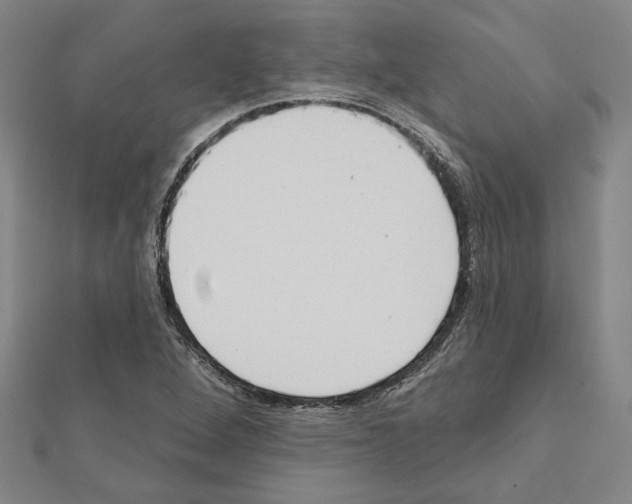 X0000111461264200908241312