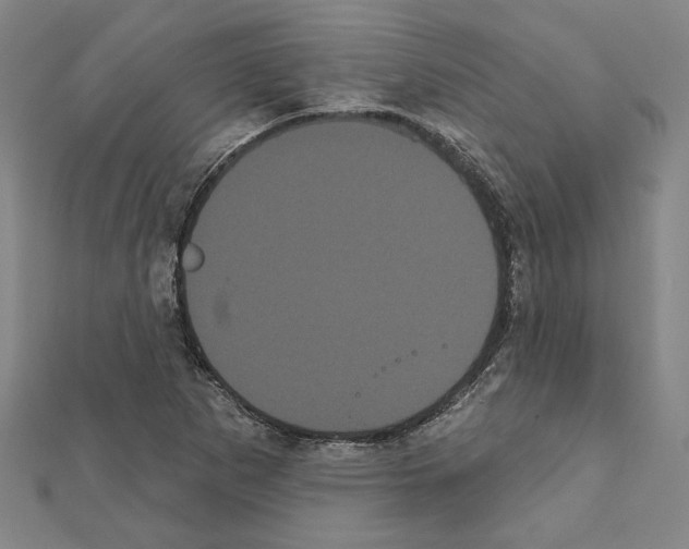 X0000111461265200908241312