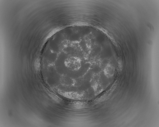 X0000111461266200908241312