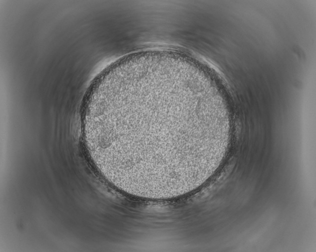 X0000111461267200908241312