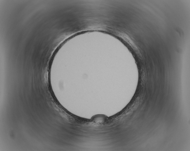 X0000111461268200908241312