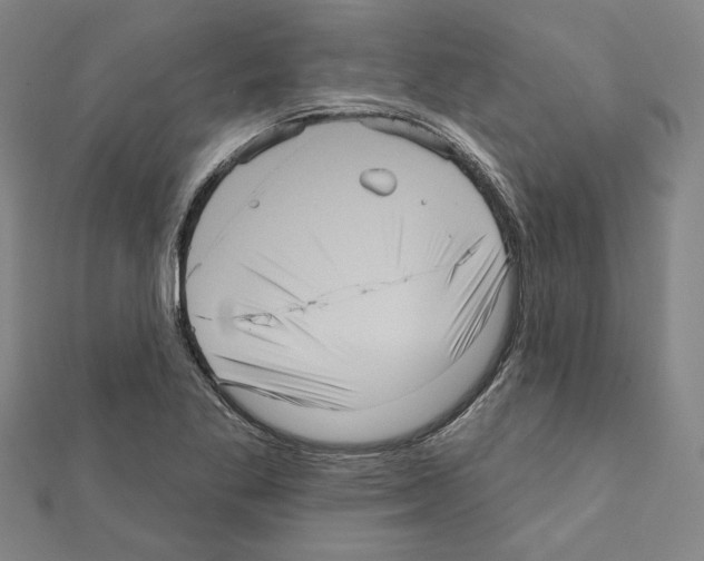 X0000111461269200908241312