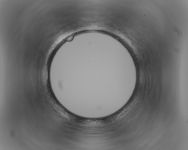 X0000111461270200908241312