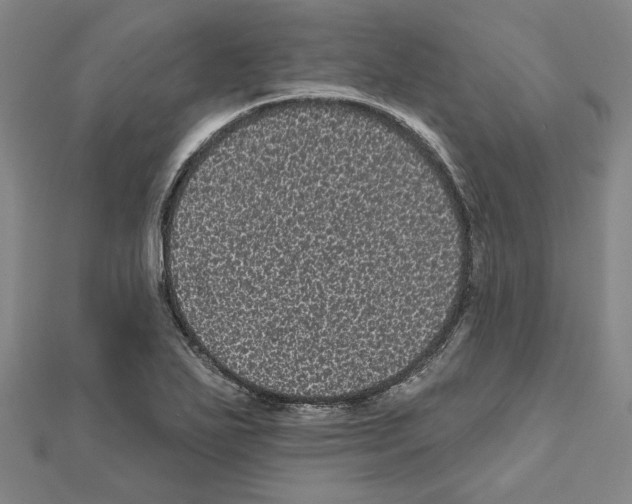 X0000111461271200908241312