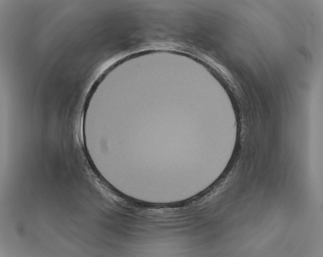 X0000111461272200908241312