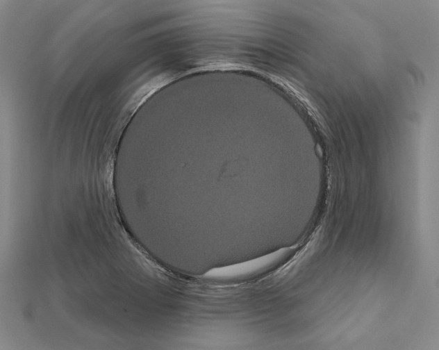 X0000111461273200908241312