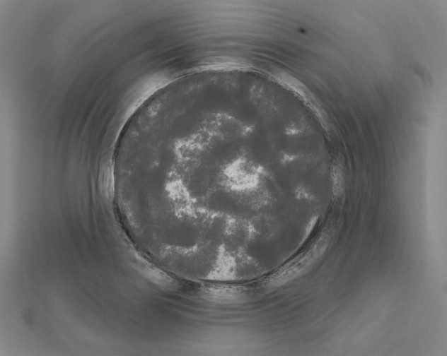 X0000111461274200908241312